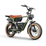 Electric Ebike Multi Rider Wide Tire Aluminum Frame Long Range Urban Commuter Factory Price Power Machine