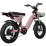 Urban Electric Ebike Multi Seat Wide Tire Aluminum Frame Daily Commuter Long Range Factory Price Ride