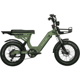 Urban Electric Ebike Multi Seat Wide Tire Aluminum Frame Daily Commuter Long Range Factory Price Ride