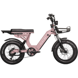 Urban Electric Ebike Multi Seat Wide Tire Aluminum Frame Daily Commuter Long Range Factory Price Ride