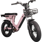 Urban Electric Ebike Multi Seat Wide Tire Aluminum Frame Daily Commuter Long Range Factory Price Ride