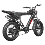 EAGLE Dual Battery 110km Range Electric Bike 20x4.0 Fat Tire Air Suspension Hydraulic Brake 7 Speed Cargo Rack Factory Wholesale Price