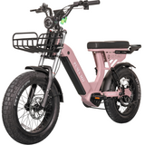 Urban Electric Ebike Multi Seat Wide Tire Aluminum Frame Daily Commuter Long Range Factory Price Ride