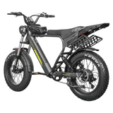EAGLE Dual Battery 110km Range Electric Bike 20x4.0 Fat Tire Air Suspension Hydraulic Brake 7 Speed Cargo Rack Factory Wholesale Price