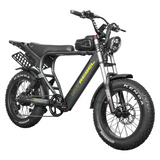 EAGLE Dual Battery 110km Range Electric Bike 20x4.0 Fat Tire Air Suspension Hydraulic Brake 7 Speed Cargo Rack Factory Wholesale Price