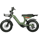 Urban Electric Ebike Multi Seat Wide Tire Aluminum Frame Daily Commuter Long Range Factory Price Ride