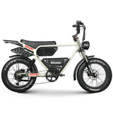 Electric Ebike Multi Rider Wide Tire Aluminum Frame Long Range Urban Commuter Factory Price Power Machine