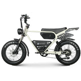 Electric Ebike Multi Rider Wide Tire Aluminum Frame Long Range Urban Commuter Factory Price Power Machine