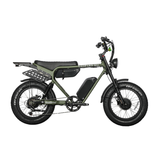 Dual Motor Electric Ebike 2000W Multi Rider Wide Tire Aluminum Frame Extreme Power Factory Price Beast