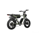 Dual Motor Electric Ebike 2000W Multi Rider Wide Tire Aluminum Frame Extreme Power Factory Price Beast