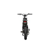 Dual Motor Electric Ebike 2000W Multi Rider Wide Tire Aluminum Frame Extreme Power Factory Price Beast