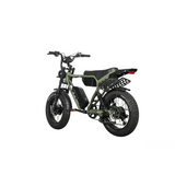 Dual Motor Electric Ebike 2000W Multi Rider Wide Tire Aluminum Frame Extreme Power Factory Price Beast
