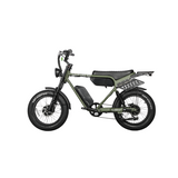 Dual Motor Electric Ebike 2000W Multi Rider Wide Tire Aluminum Frame Extreme Power Factory Price Beast