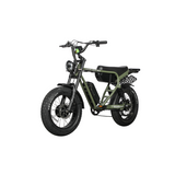 Dual Motor Electric Ebike 2000W Multi Rider Wide Tire Aluminum Frame Extreme Power Factory Price Beast