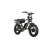 Dual Motor Electric Ebike 2000W Multi Rider Wide Tire Aluminum Frame Extreme Power Factory Price Beast