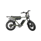 Dual Motor Electric Ebike 2000W Multi Rider Wide Tire Aluminum Frame Extreme Power Factory Price Beast