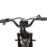 Dual Motor Electric Ebike 2000W Multi Rider Wide Tire Aluminum Frame Extreme Power Factory Price Beast