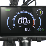 Dual Motor Electric Ebike 2000W Multi Rider Wide Tire Aluminum Frame Extreme Power Factory Price Beast