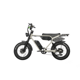 Dual Motor Electric Ebike 2000W Multi Rider Wide Tire Aluminum Frame Extreme Power Factory Price Beast