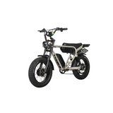 Dual Motor Electric Ebike 2000W Multi Rider Wide Tire Aluminum Frame Extreme Power Factory Price Beast