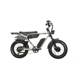 Dual Motor Electric Ebike 2000W Multi Rider Wide Tire Aluminum Frame Extreme Power Factory Price Beast