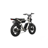 Dual Motor Electric Ebike 2000W Multi Rider Wide Tire Aluminum Frame Extreme Power Factory Price Beast