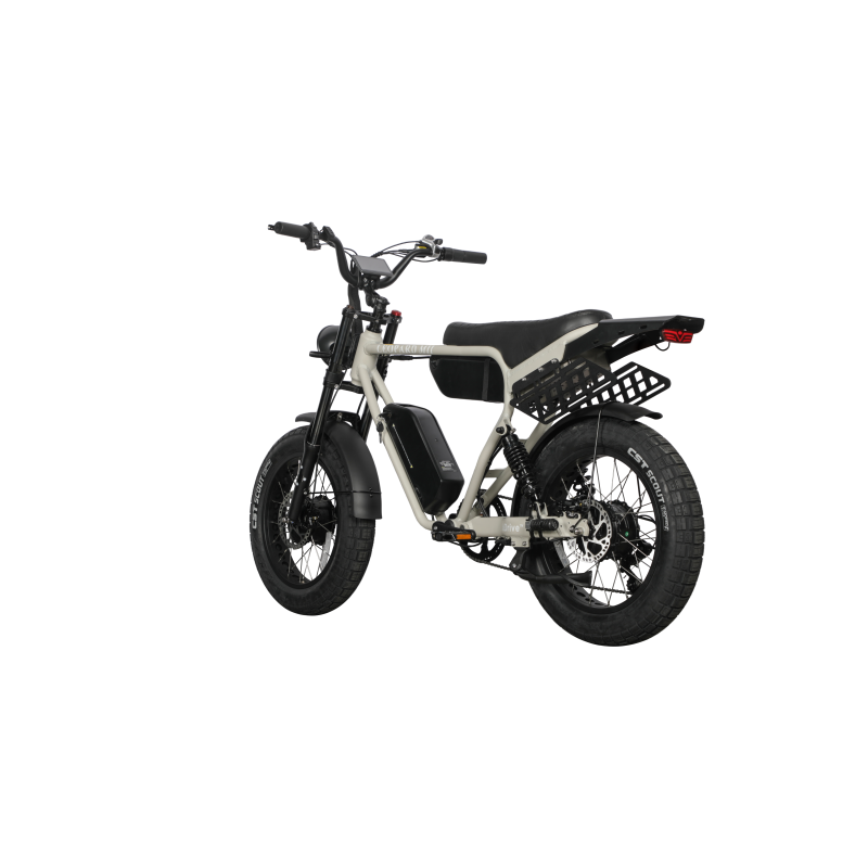 Multi Rider Bicycle Dual Motor Electric Ebike 2000W Multi Rider Wide Tire Aluminum Frame E ...