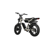Dual Motor Electric Ebike 2000W Multi Rider Wide Tire Aluminum Frame Extreme Power Factory Price Beast