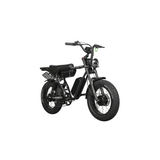 Dual Motor Electric Ebike 2000W Multi Rider Wide Tire Aluminum Frame Extreme Power Factory Price Beast
