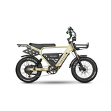 Electric Ebike Multi Passenger Wide Tire Aluminum Frame Cargo Ready Long Range Factory Price