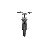 Dual Motor Electric Ebike 2000W Multi Rider Wide Tire Aluminum Frame Extreme Power Factory Price Beast