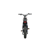 Dual Motor Electric Ebike 2000W Multi Rider Wide Tire Aluminum Frame Extreme Power Factory Price Beast
