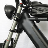 EAGLE Dual Battery 110km Range Electric Bike 20x4.0 Fat Tire Air Suspension Hydraulic Brake 7 Speed Cargo Rack Factory Wholesale Price