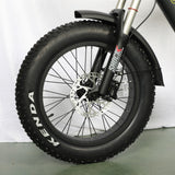 EAGLE Dual Battery 110km Range Electric Bike 20x4.0 Fat Tire Air Suspension Hydraulic Brake 7 Speed Cargo Rack Factory Wholesale Price