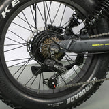 EAGLE Dual Battery 110km Range Electric Bike 20x4.0 Fat Tire Air Suspension Hydraulic Brake 7 Speed Cargo Rack Factory Wholesale Price