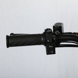 DB 1200W Powerful Electric Bike 60V 29.5Ah Large Battery 85km Range Cargo Rack 55km/h Speed Factory Wholesale Price