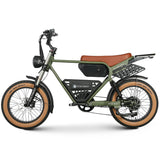 Electric Ebike Multi Rider Wide Tire Aluminum Frame Long Range Urban Commuter Factory Price Power Machine